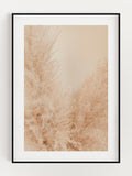 Soft Love Reed Poster