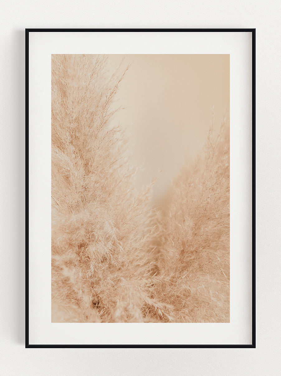 Soft Love Reed Poster